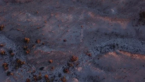 Desert terrain flyover with small shrubs Stock Footage 81575011