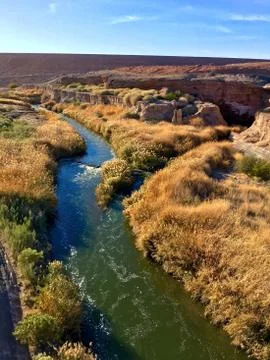 Desert Thirst Stock Photos