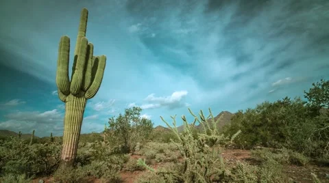Desert Time Lapse 05 24fps Stock Footage 45921159