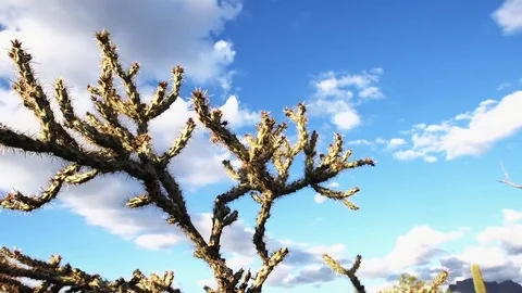 Desert Time-lapse Stock Footage 73769691