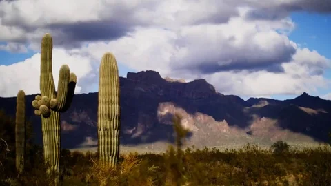 Desert Time-lapse Stock Footage 73770076
