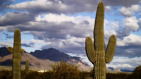 Desert Time-lapse Video stock 73770084