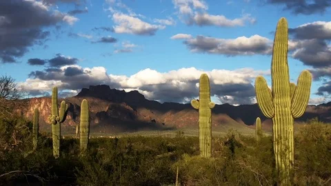 Desert Time-lapse Stock Footage 73770240