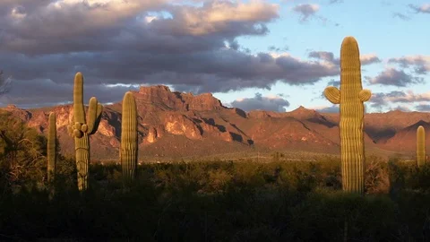 Desert Time-lapse Stock Footage 73770306