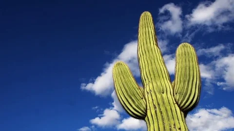 Desert Time-lapse Stock Footage 73770314