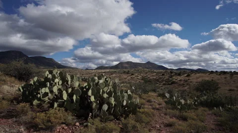 Desert Time Lapse Video stock 274878606