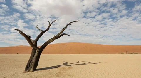 Desert - Timelapse - Namibia 스톡 동영상 43036074