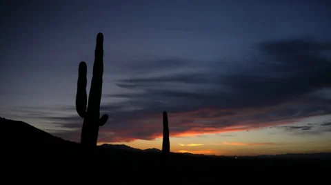 Desert Timelapse with Saguaro at sunset Stock Footage 37165334