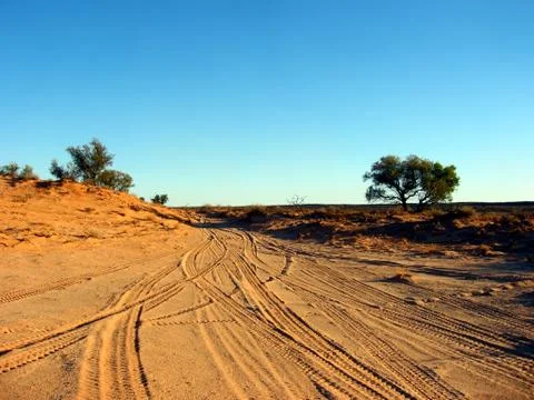 Desert tracks Foto stock