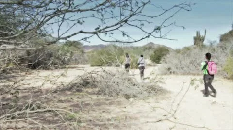 Desert Trail Stock Footage 10818653