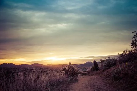 Desert Trail at Sunset 库存照片