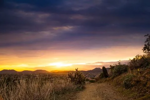 Desert Trail at Sunset 库存照片