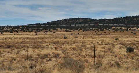 Desert Train Video stock 87635359