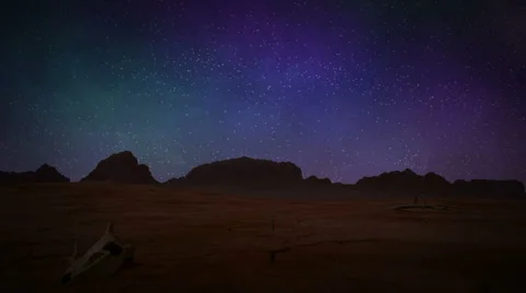 Desert Tree Stock Footage 68269413