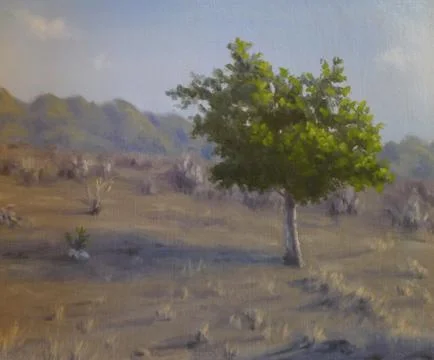 Desert Tree Stock Illustration