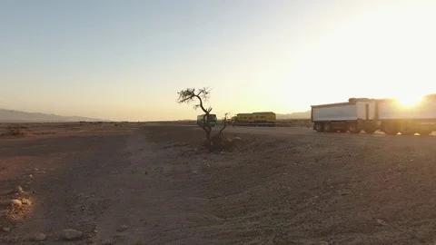 Desert Tree by a Road Stock Footage 70963150