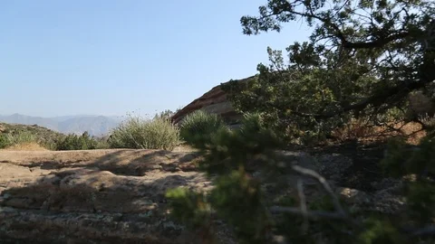 Desert trees and rocks with mountains in BG Video stock 90072449