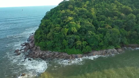 Desert tropical beach Stock Footage 264333477