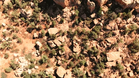 Desert in Utah, USA Stock Footage 93897309