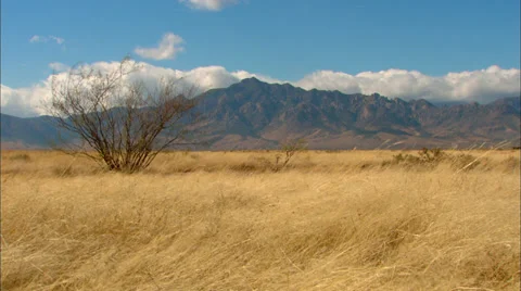 Desert Valley Grass Vídeo Stock 33652852