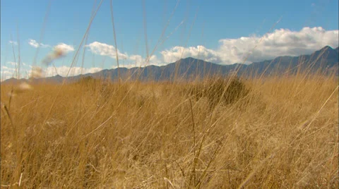 Desert Valley Grassland Stock Footage 33653001