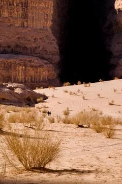 Desert vegetation beneath sandstone cliffs, Wadi Rum, Jordan Stock Photos