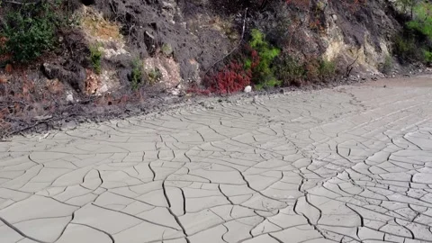 Desert video captures ecology shift: dry, cracked earth, once wet. Ecology story Stock Footage 258381727