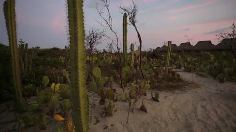 Desert view Video stock 45588148