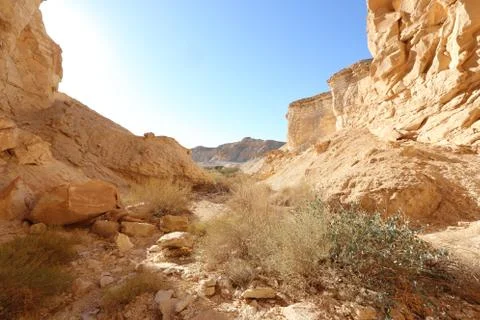 Desert View 写真素材