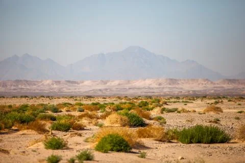 Desert view Stock Photos