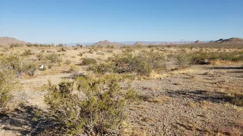 Desert Vista Stock Photos