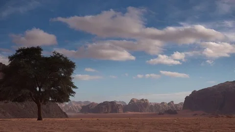 Desert of Wadi Rum Stock Footage 83613578