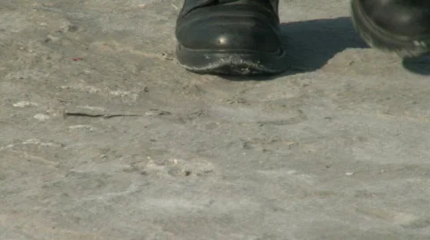 Desert Walk Stock Footage 623427