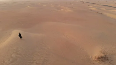 Desert walk Stock Footage 94460033