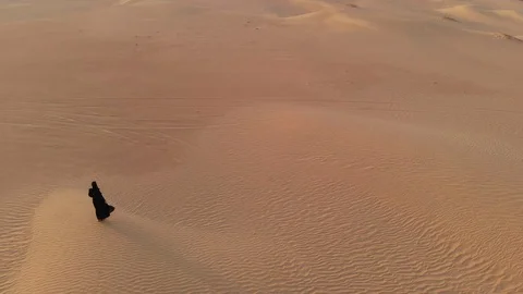 Desert walk Stock Footage 94460075