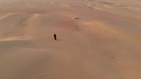 Desert walk Stock Footage 94460213