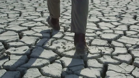 Desert walk Stock Footage 138126129