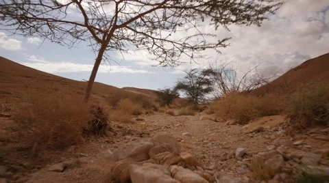 Desert walk tracking POV gimbal 4K Stock Footage