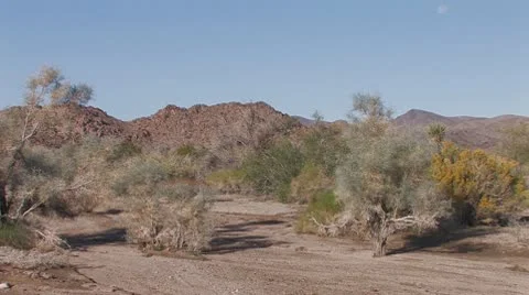 Desert Wash 1 Stock Footage 10607772