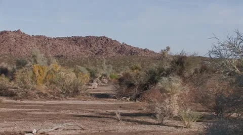 Desert Wash 2 Stock Footage 10607751