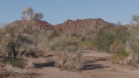 Desert Wash 3 Stock Footage 10607739