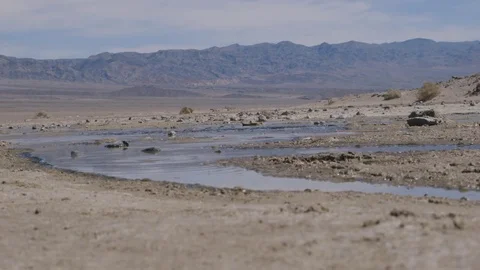 Desert Water 5 Stockbeeldmateriaal 80892752