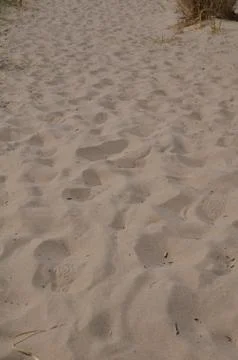 Desert waves Stock Photos