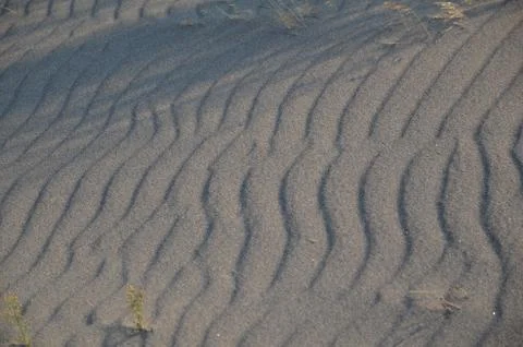 Desert waves Stock Photos