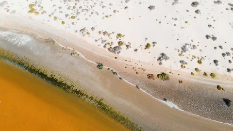 Desert Wetland Beach Stock Footage 129552260