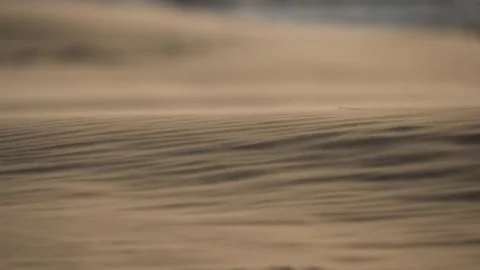 Desert wind blowing sand forming abstract ripple pattern on surface; static Stock Footage 201228800