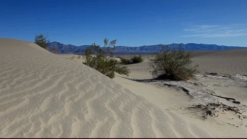 Desert Winded Sand Video stock 104855896