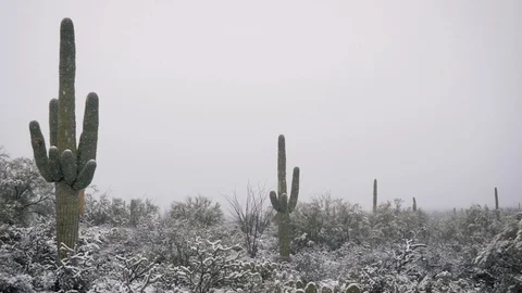 Desert Winter Scene with Room for Text Stock Footage 105031492