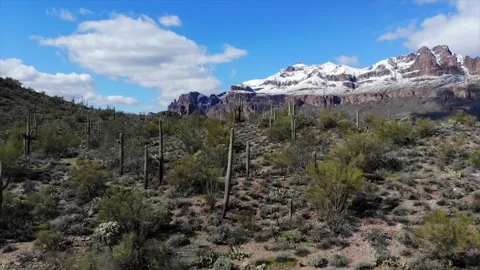 Desert wonders Video stock 170337223