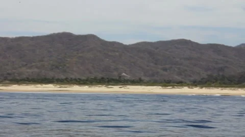 Deserted beach 1 Stock Footage 7754040